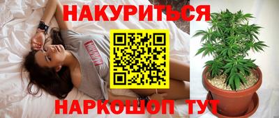 гашик Краснодар