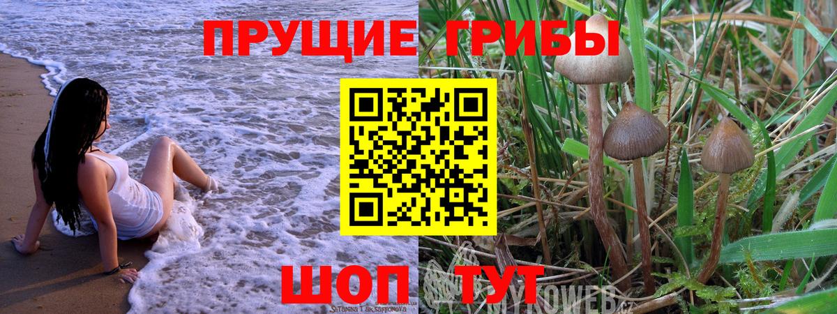 Южно-Сахалинск  Галлюциногенные грибы GOLDEN TEACHER  Вход с VPN 